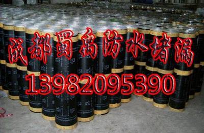 成都防水堵漏服務(wù)指南 解決漏水困擾的專(zhuān)業(yè)選擇