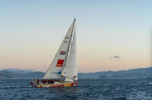 海上茶葉縱貫線 陸路國(guó)際貨運(yùn)代理業(yè)務(wù)的戰(zhàn)略支點(diǎn)與時(shí)代新章