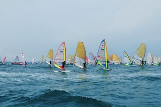 海上揚(yáng)帆，陸路通達(dá) 國(guó)際貨運(yùn)代理業(yè)務(wù)的雙重變奏